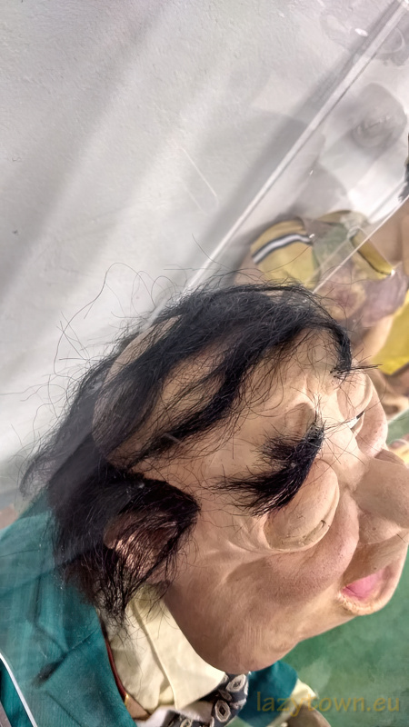 Lazytown museum borgames HDR 088