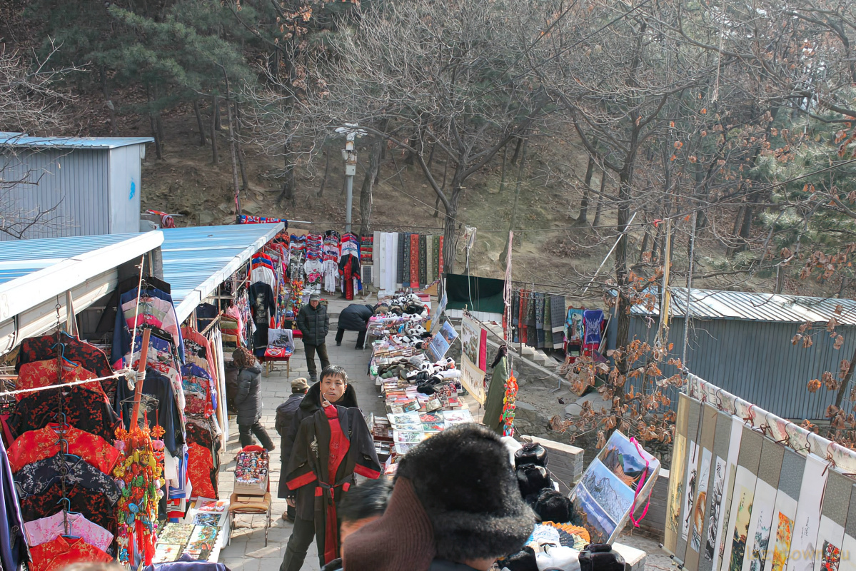 2014 0126 chinese global spring festival gala 13