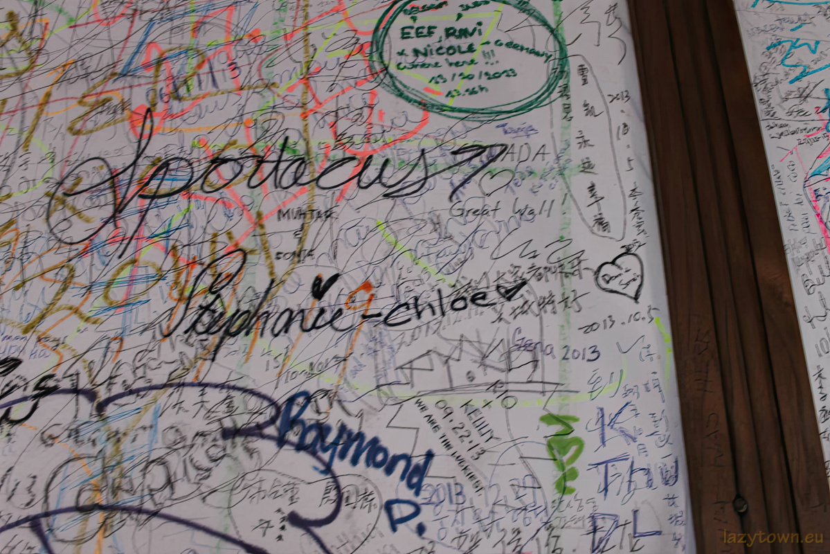 2014 0126 chinese global spring festival gala 15