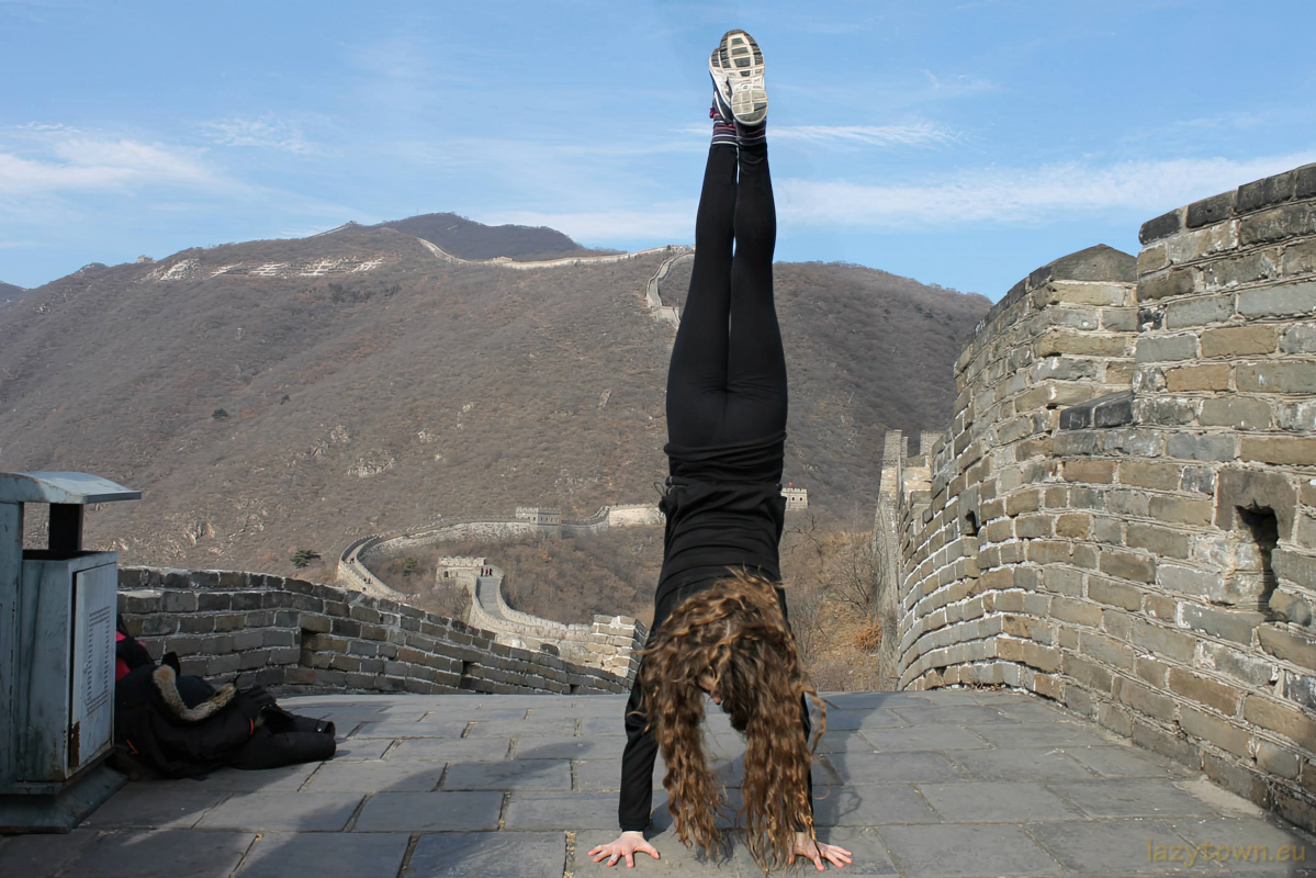 2014 0126 chinese global spring festival gala 17