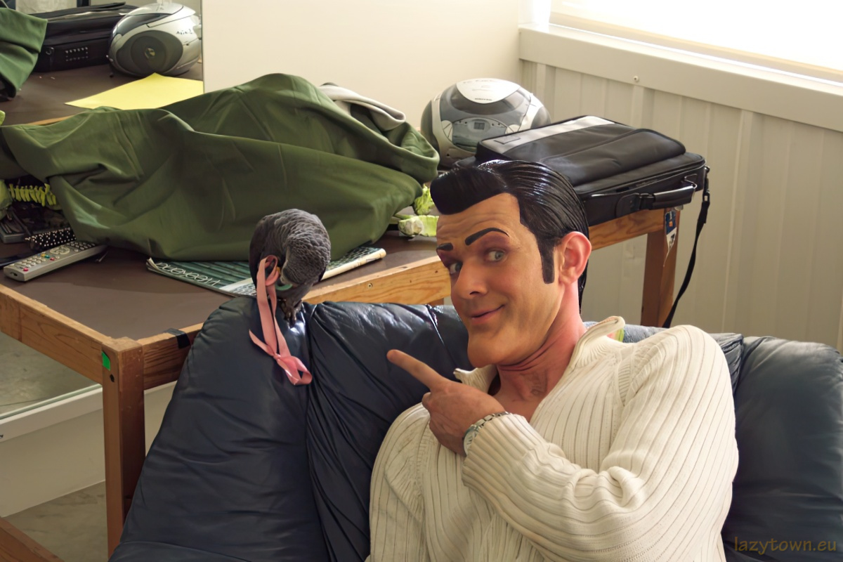 African Grey parrot visiting LazyTown