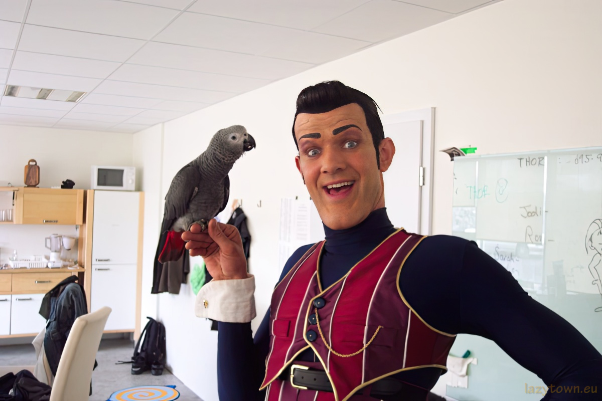 African Grey parrot visiting LazyTown