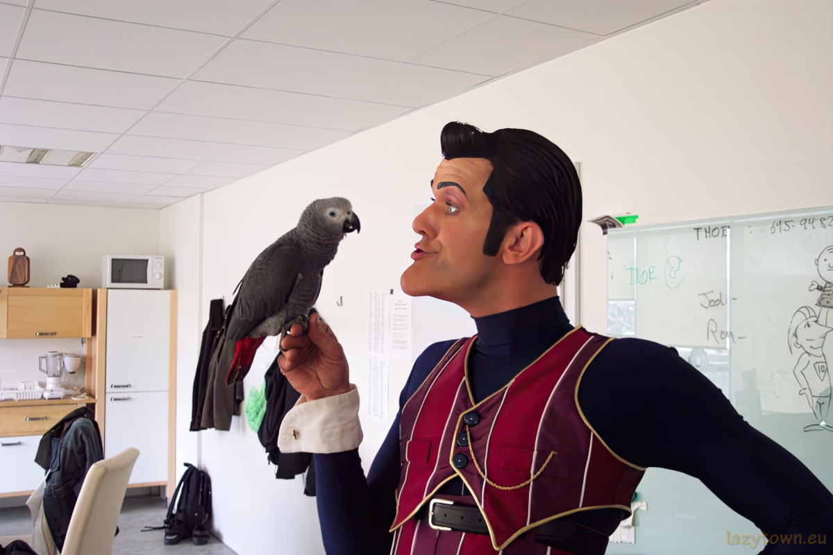 African Grey parrot visiting LazyTown