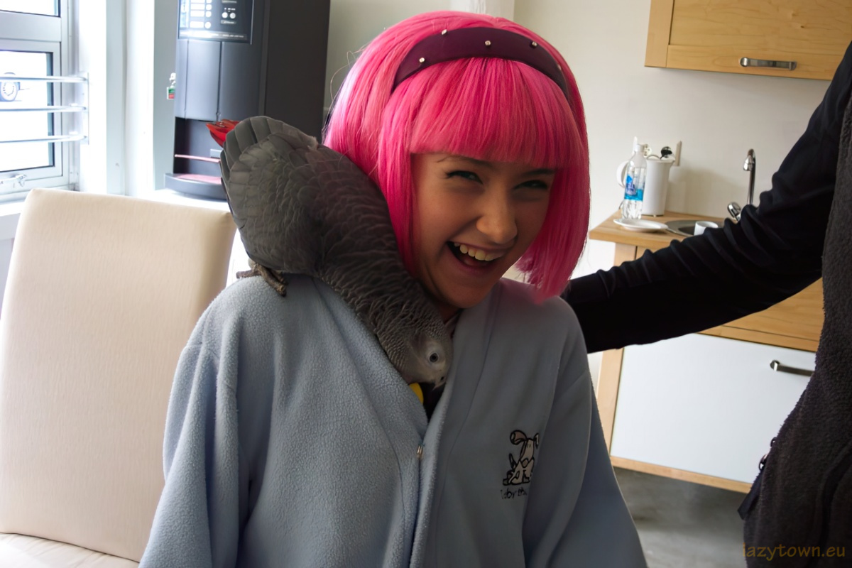 African Grey parrot visiting LazyTown